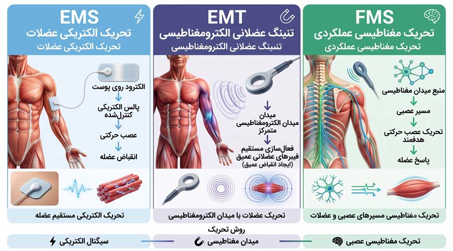 تصویر تفاوت EMS و EMT و FMS در تحریک عضلات