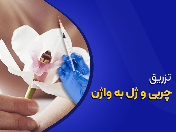تصویر تزریق چربی و ژل به واژن